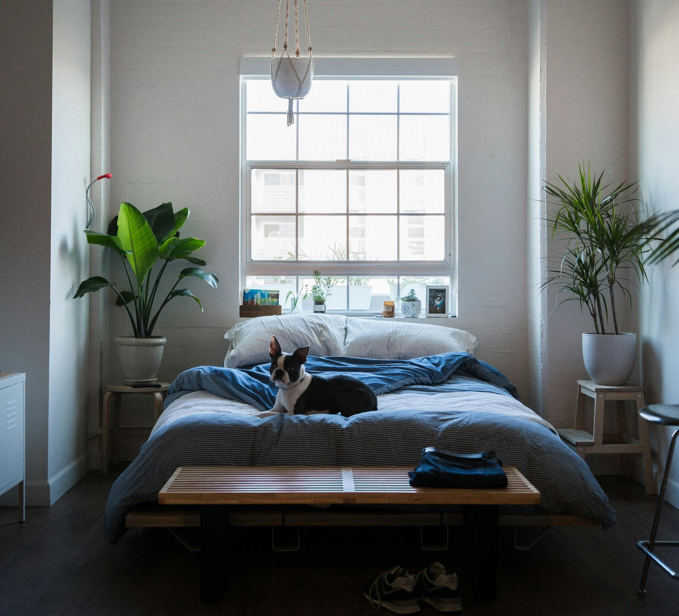 66fdc1f0a897b5f704b205c8 Mikemarquez589521unsplash