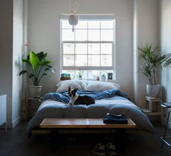 66fdc1f0a897b5f704b205c8 Mikemarquez589521unsplash 66fdc1f0a897b5f704b205c8 Mikemarquez589521unsplash