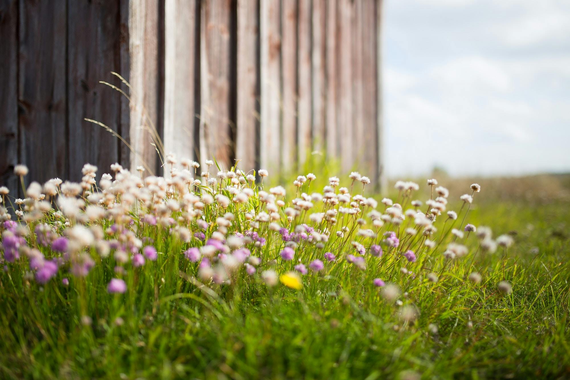 Photo: Unsplash/Jon Flobrant