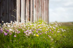 66fdc1f336c97e70a88b68bb Jonflobrant34820unsplash