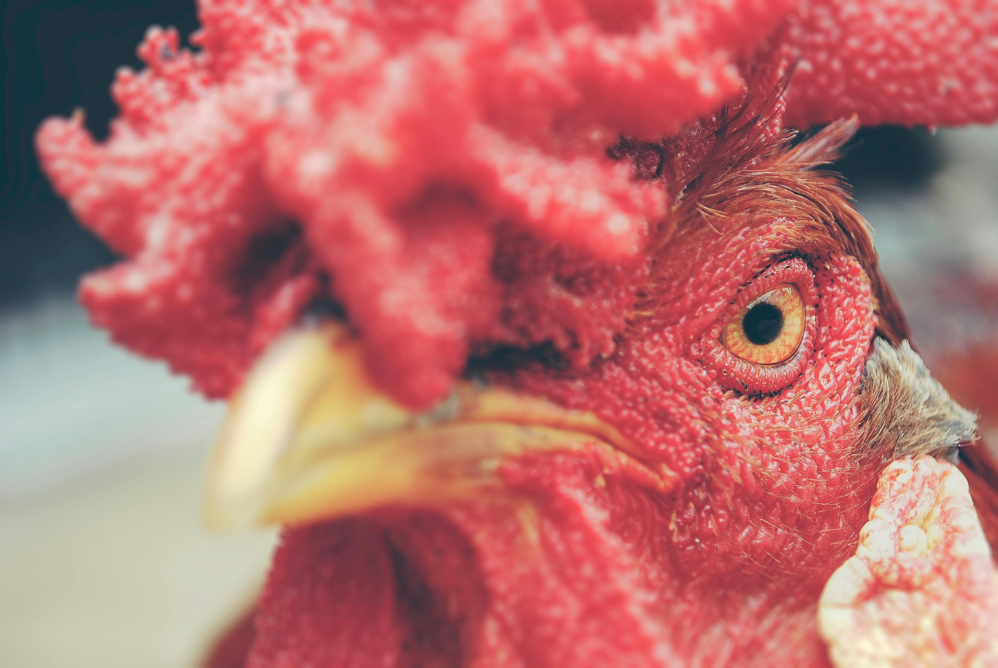 66fdc1f63cabd9cedca6a2ec Jairoalzate188815unsplash