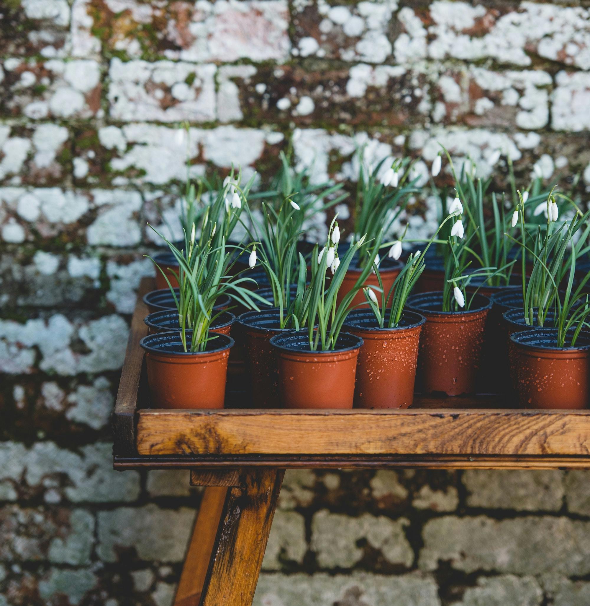 66fdc202e1fd4a7f02e1f807 Anniespratt202531unsplash 0