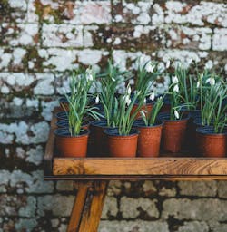 66fdc202e1fd4a7f02e1f807 Anniespratt202531unsplash 0 66fdc202e1fd4a7f02e1f807 Anniespratt202531unsplash 0