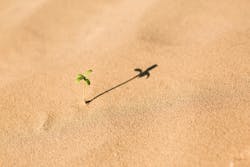 66fdc208a897b54682b205f3 Evankirby263913unsplash 66fdc208a897b54682b205f3 Evankirby263913unsplash