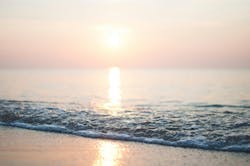 66fdc20a01d3bf16fcaf8116 Anastasiataioglou244880unsplash 66fdc20a01d3bf16fcaf8116 Anastasiataioglou244880unsplash