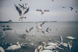 66fdc214de5fd1e2bd5493b2 Patryksobczak1726unsplash 66fdc214de5fd1e2bd5493b2 Patryksobczak1726unsplash