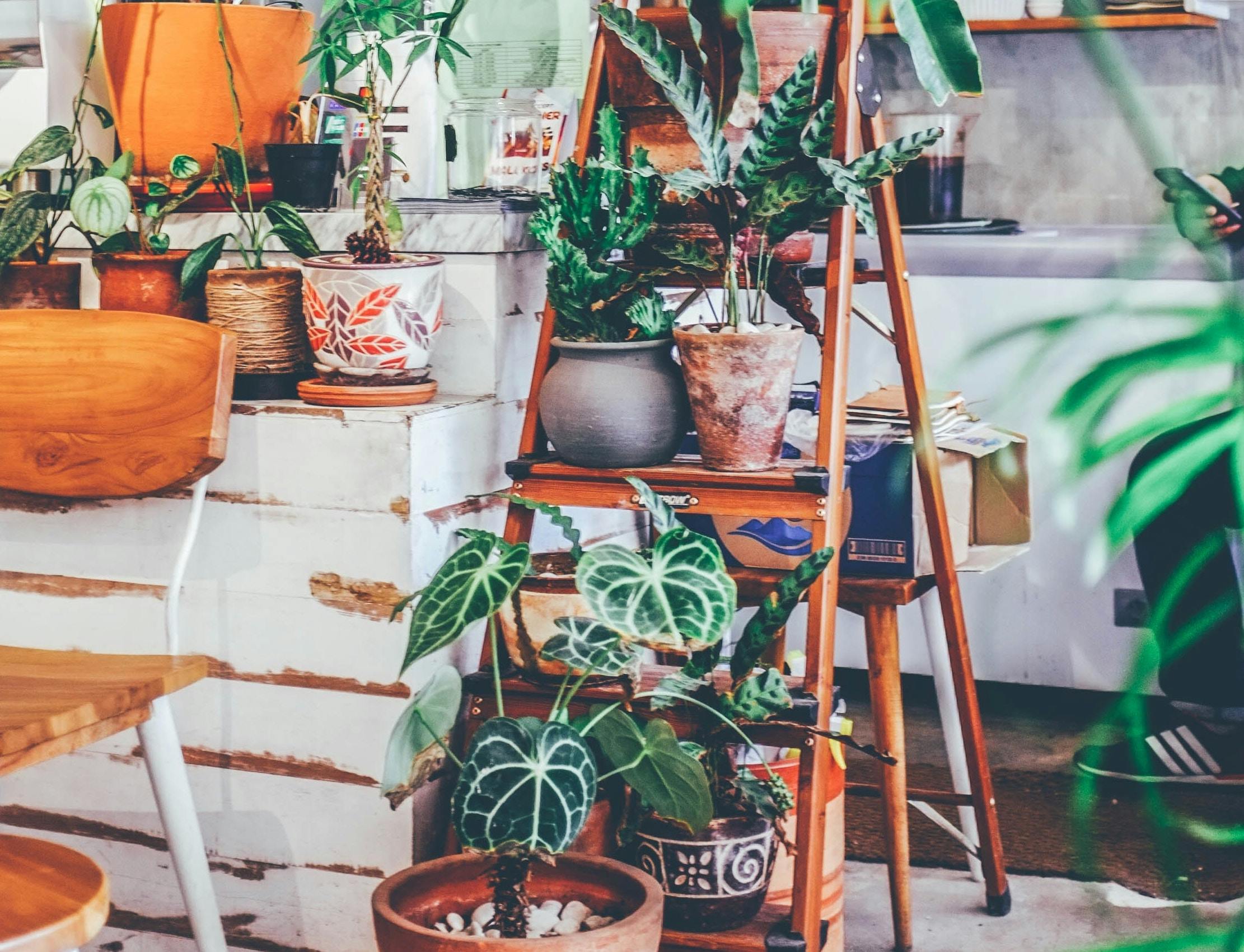 66fdc22de63fdc64f5458f03 Kilarovzaneit684611unsplash 0