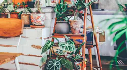 Photo: Unsplash/Kilarov Zaneit