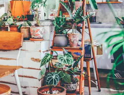 66fdc22de63fdc64f5458f03 Kilarovzaneit684611unsplash 0