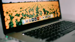 Photo: Unsplash/Mikaela Shannon