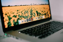 66fdc230de5fd1c02f5493d6 Mikaelashannon205959unsplash 66fdc230de5fd1c02f5493d6 Mikaelashannon205959unsplash