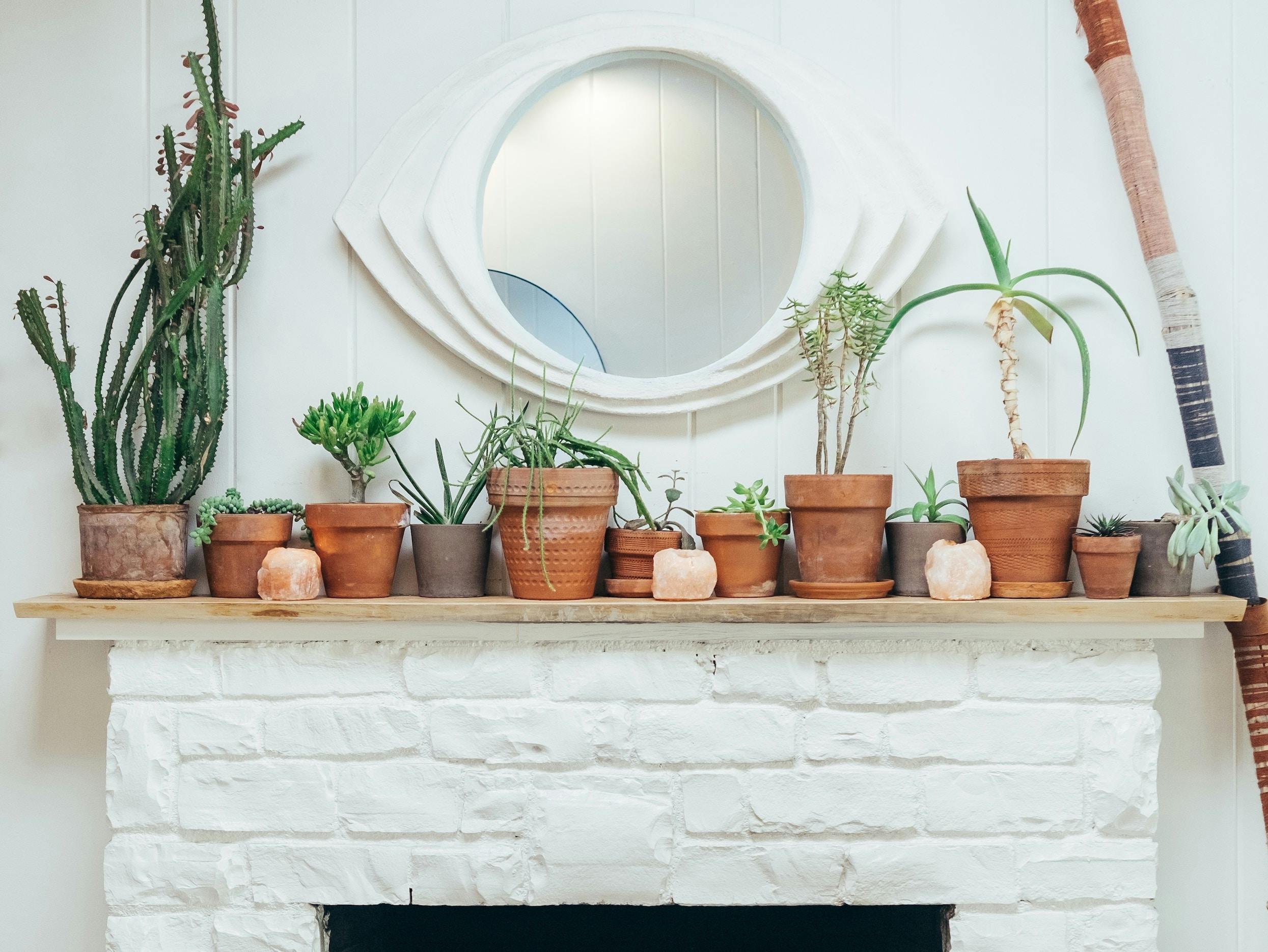 66fdc23801d3bf794caf8141 Paulhanaoka690172unsplash 0