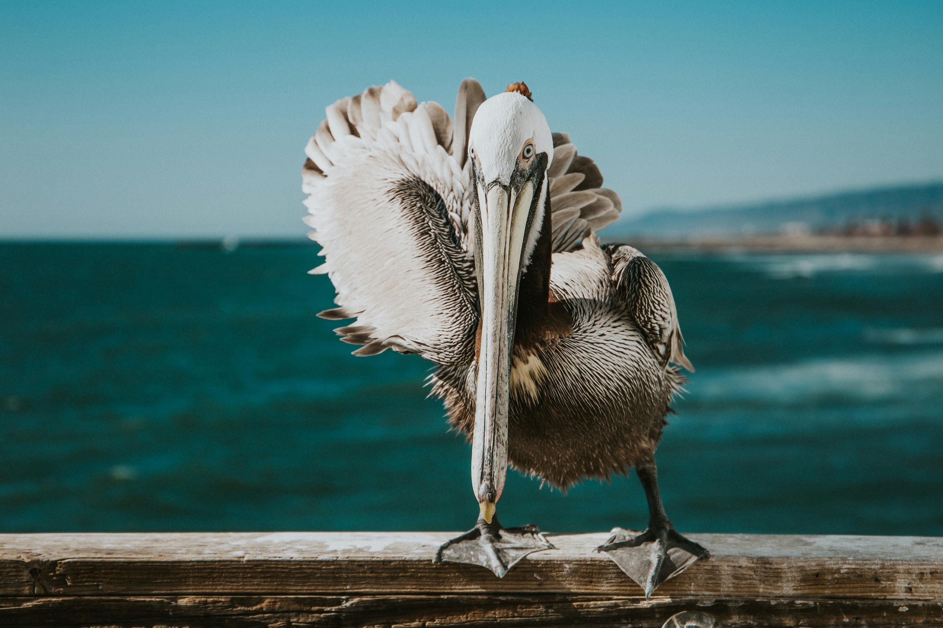 66fdc239de5fd1ddee5493e1 Vincefleming574416unsplash