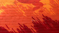Photo: Unsplash