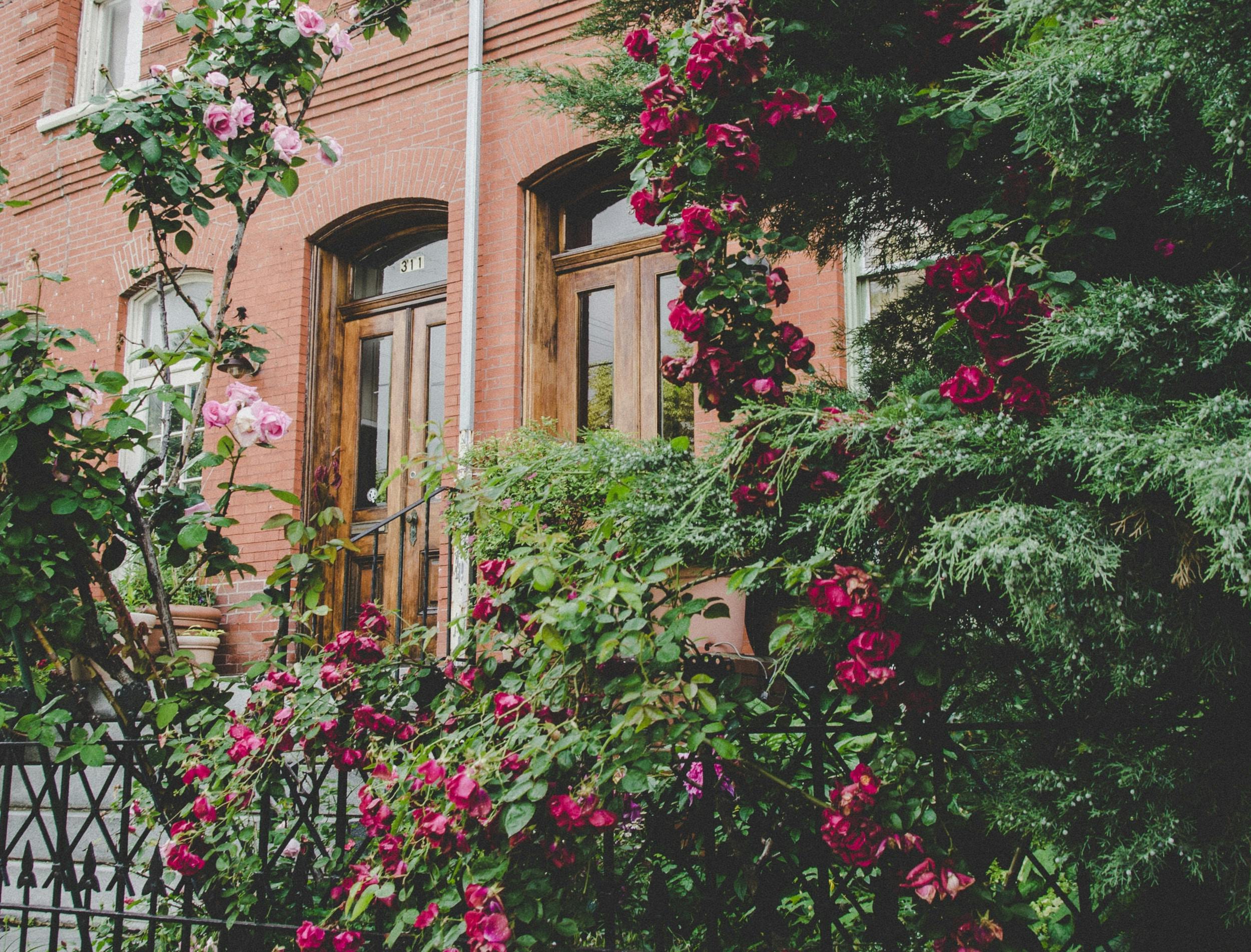 66fdc24601d3bfb967af815a Jerrykiesewetter270056unsplash