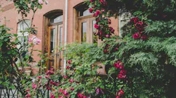 Photo: Unsplash/Jerry Kiesewetter