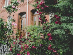 66fdc24601d3bfb967af815a Jerrykiesewetter270056unsplash 66fdc24601d3bfb967af815a Jerrykiesewetter270056unsplash