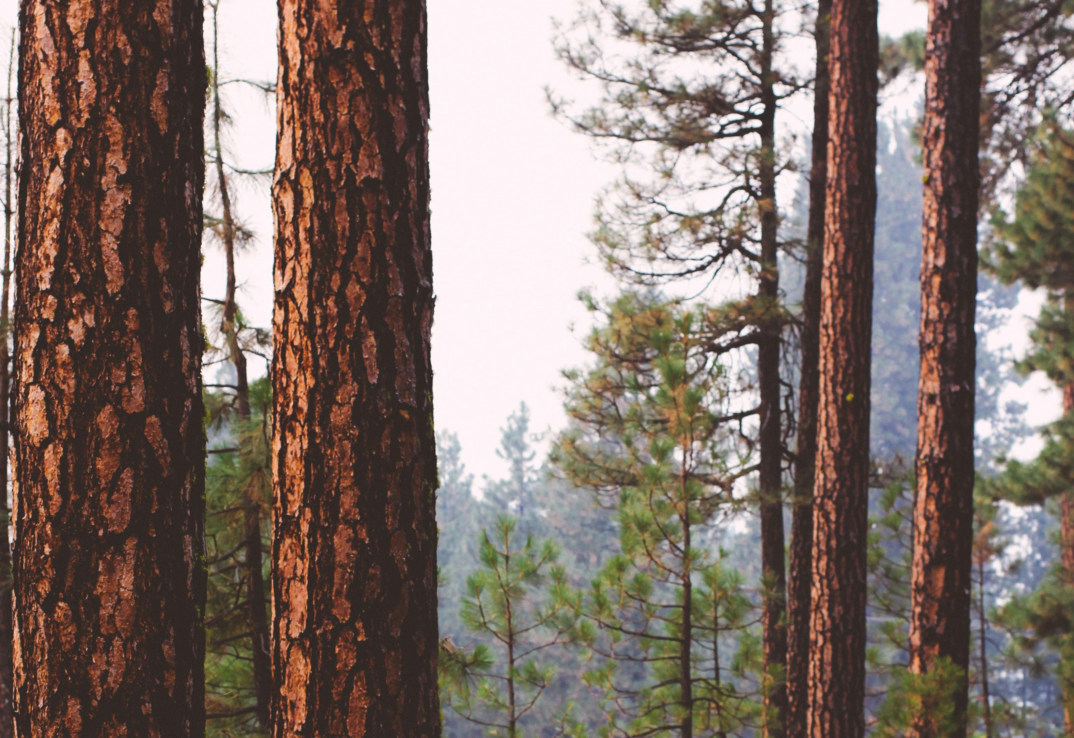 66fdc24ee1fd4aa444e1f864 Ericmuhr699491unsplash