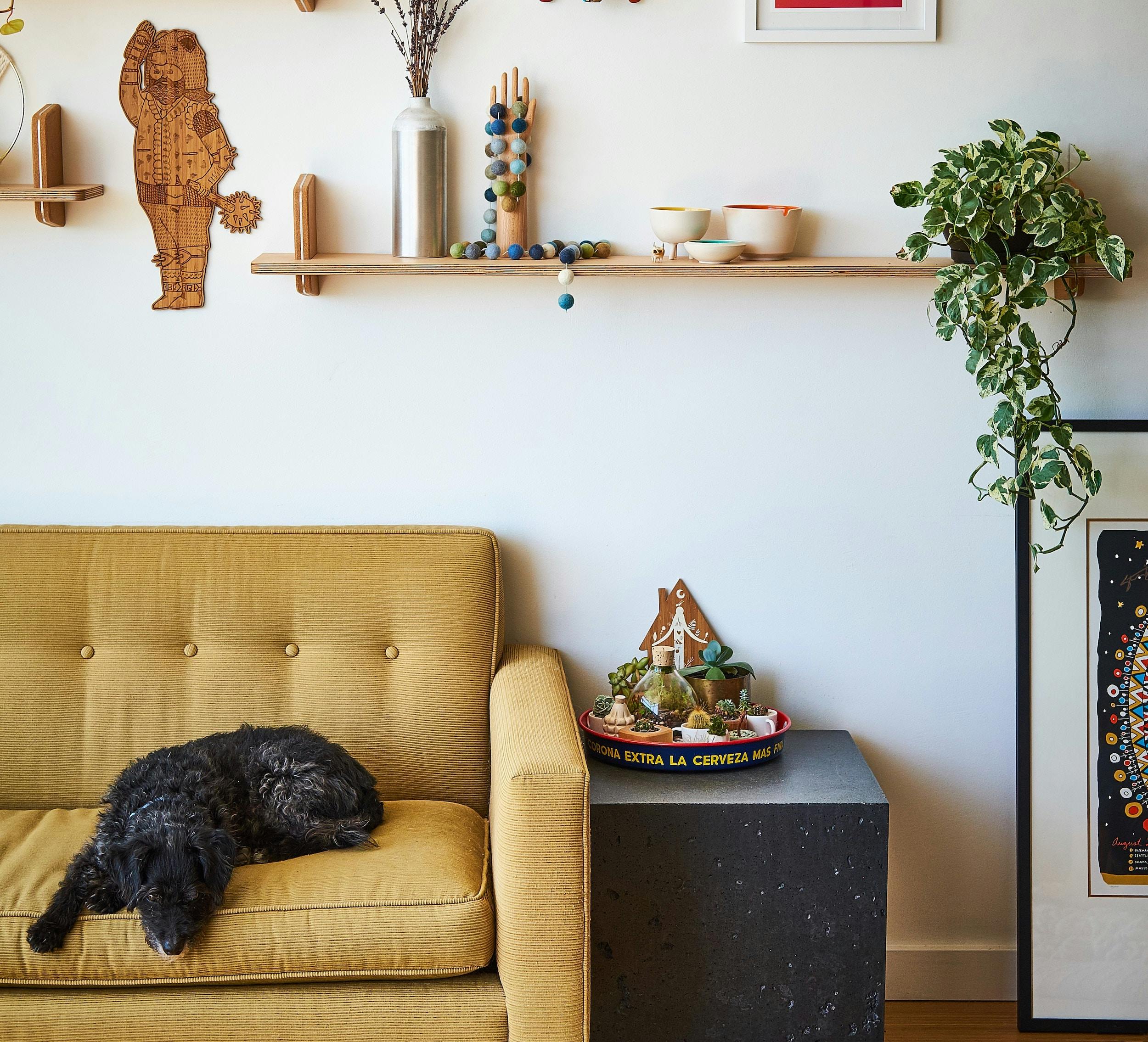 66fdc251e63fdccdf4458f2b Grovemade678706unsplash