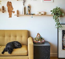 66fdc251e63fdccdf4458f2b Grovemade678706unsplash 66fdc251e63fdccdf4458f2b Grovemade678706unsplash