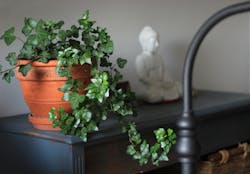 66fdc258d4ea3861e0a5a203 Manjabenic558171unsplash 66fdc258d4ea3861e0a5a203 Manjabenic558171unsplash