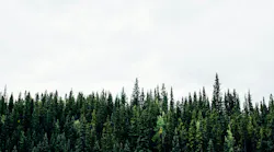 Photo: Unsplash/Michael Benz