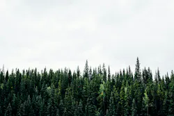 66fdc25ae1fd4a05ffe1f86a Michaelbenz258430unsplash