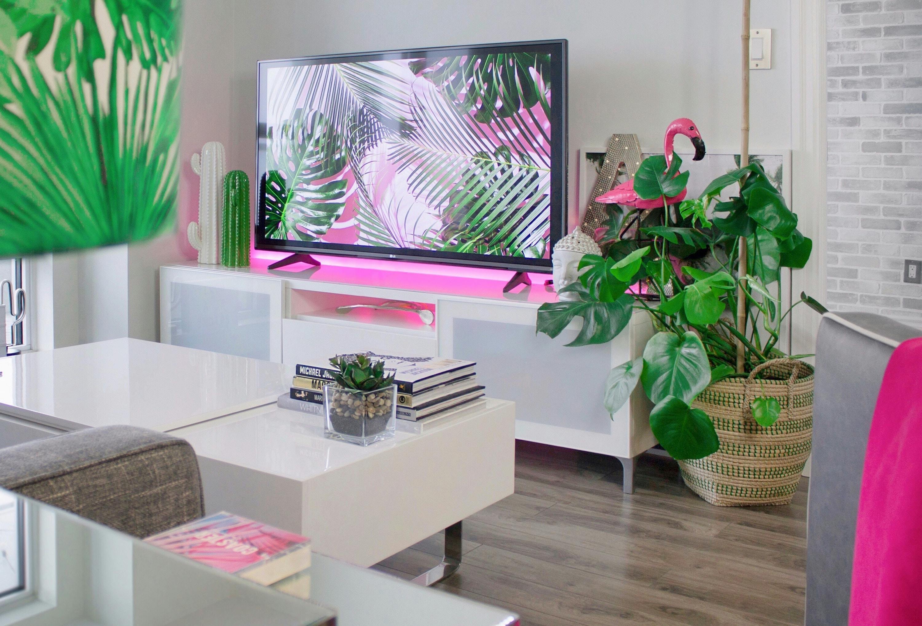 66fdc25dde5fd1f828549409 Designecologist643760unsplash