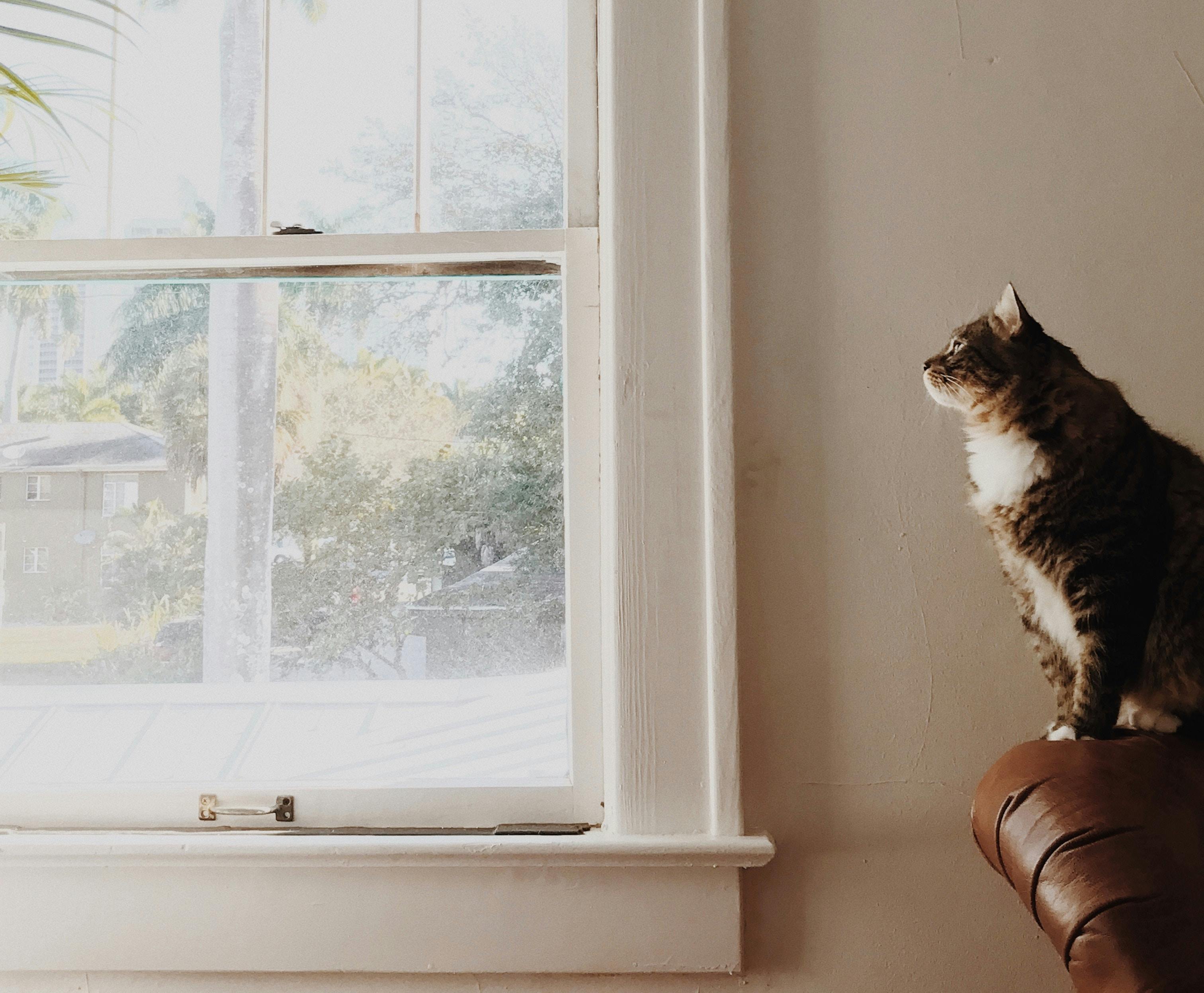 66fdc26001d3bffb34af817a Emberivory433863unsplash