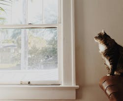 66fdc26001d3bffb34af817a Emberivory433863unsplash 66fdc26001d3bffb34af817a Emberivory433863unsplash