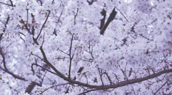 Photo: Unsplash/Yuki Yoshida