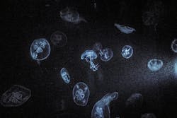 66fdc26d36c97eb6608b693c Connorcarruthers395287unsplash 66fdc26d36c97eb6608b693c Connorcarruthers395287unsplash