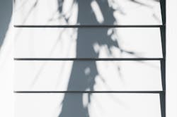 66fdc26da897b5ab5fb20668 Dianafeil245955unsplash 66fdc26da897b5ab5fb20668 Dianafeil245955unsplash