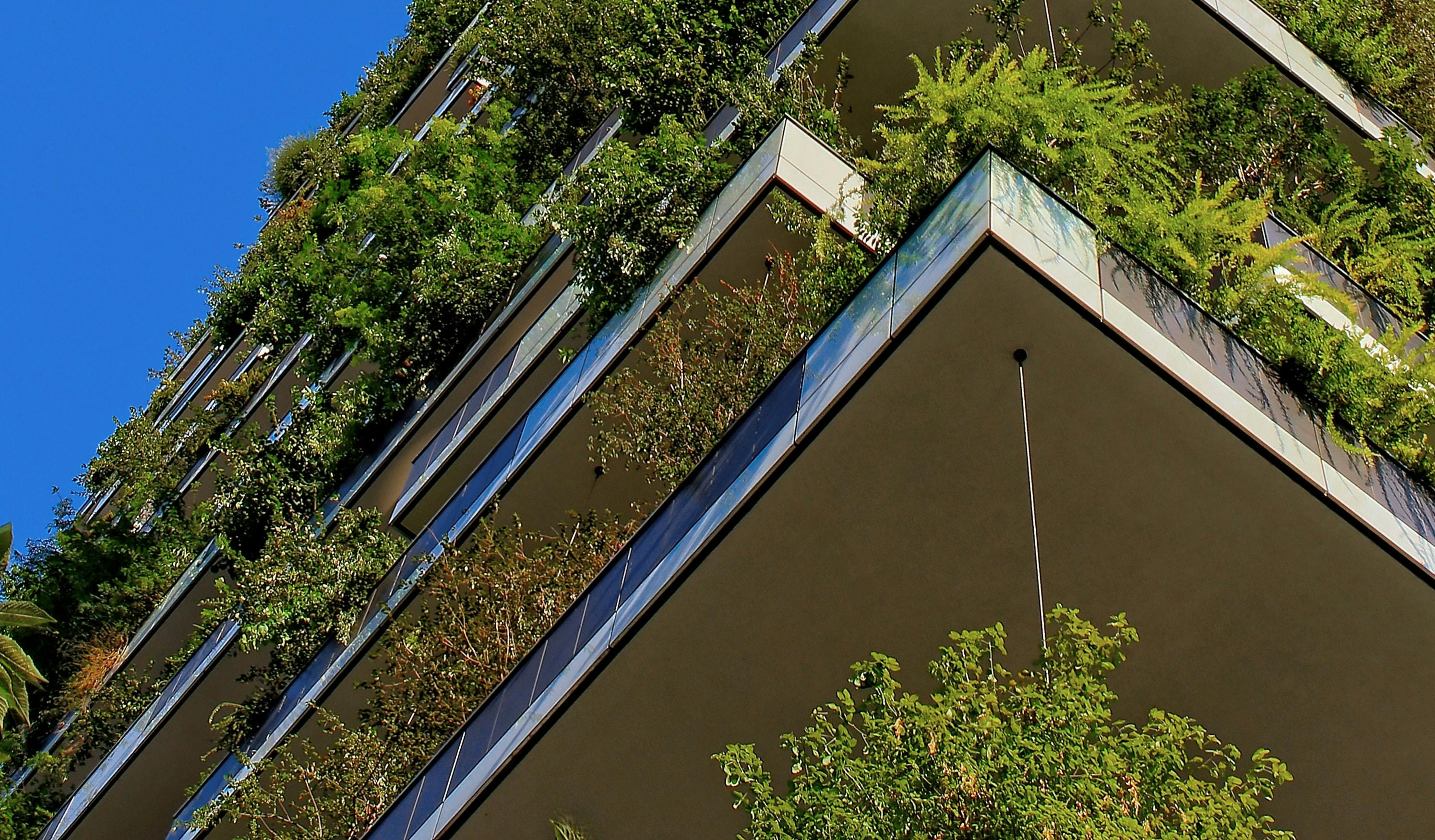 66fdc26e3cabd91395a6a363 Ricardogomezangel603624unsplash