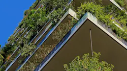 Photo: Unsplash/Ricardo Gomez Angel