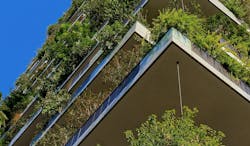 66fdc26e3cabd91395a6a363 Ricardogomezangel603624unsplash 66fdc26e3cabd91395a6a363 Ricardogomezangel603624unsplash