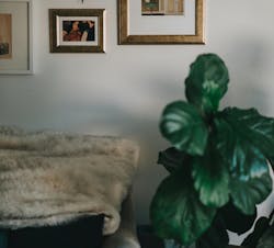 66fdc27ade5fd1ea6054942f Nathandumlao704162unsplash 66fdc27ade5fd1ea6054942f Nathandumlao704162unsplash