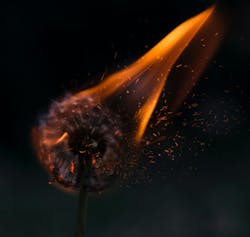 66fdc280d4ea383864a5a227 Henrybe239191unsplash 66fdc280d4ea383864a5a227 Henrybe239191unsplash