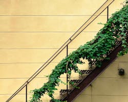 66fdc286e1fd4ab2fce1f8a5 Pawelczerwinski697192unsplash 66fdc286e1fd4ab2fce1f8a5 Pawelczerwinski697192unsplash