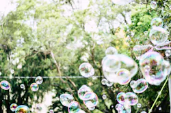66fdc296de5fd14da754943d Felipheschiarolli635315unsplash 66fdc296de5fd14da754943d Felipheschiarolli635315unsplash