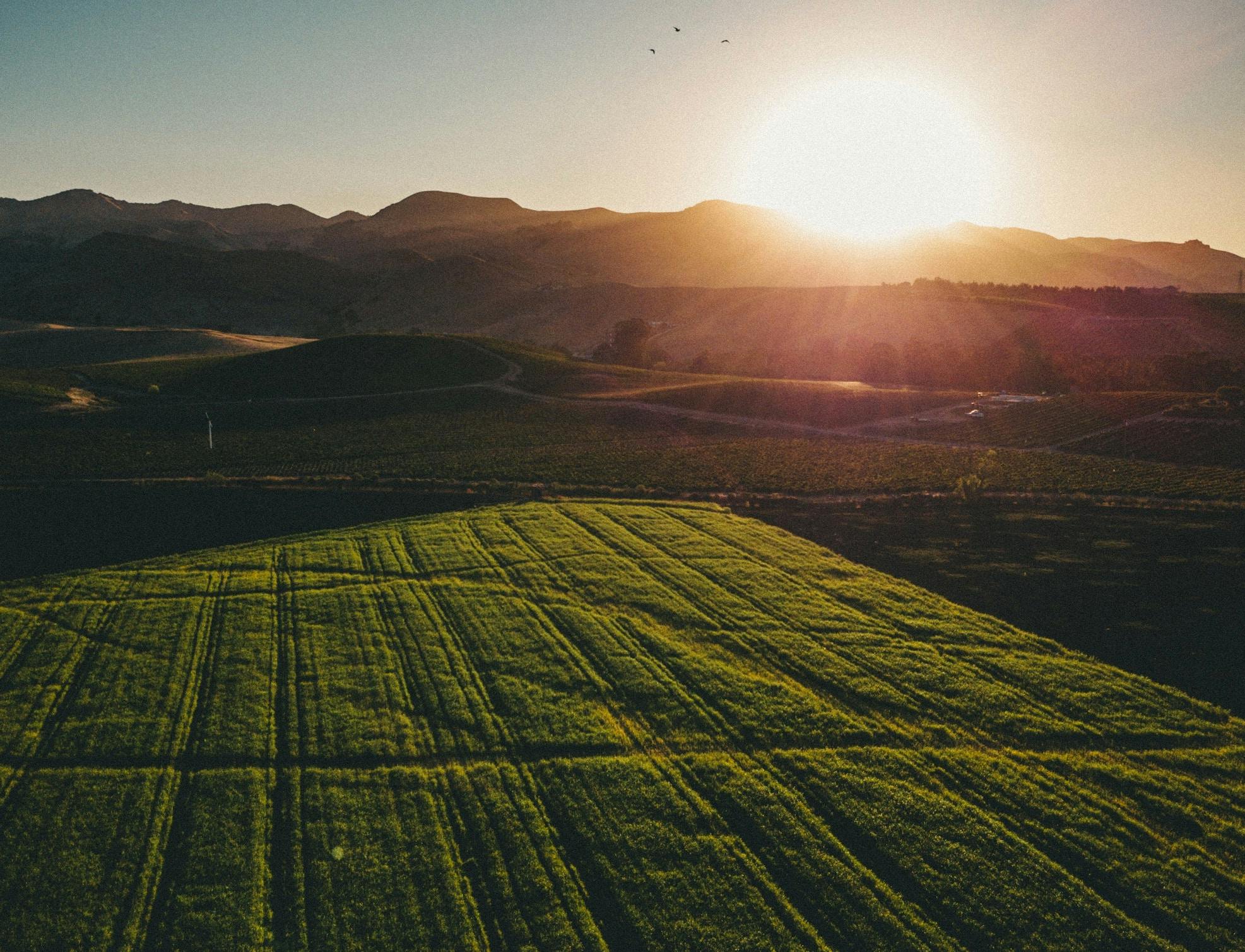 66fdc29901d3bf259daf81b1 Derekliang393153unsplash