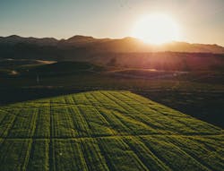 66fdc29901d3bf259daf81b1 Derekliang393153unsplash 66fdc29901d3bf259daf81b1 Derekliang393153unsplash