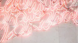 Photo: Unsplash/Allison Heine