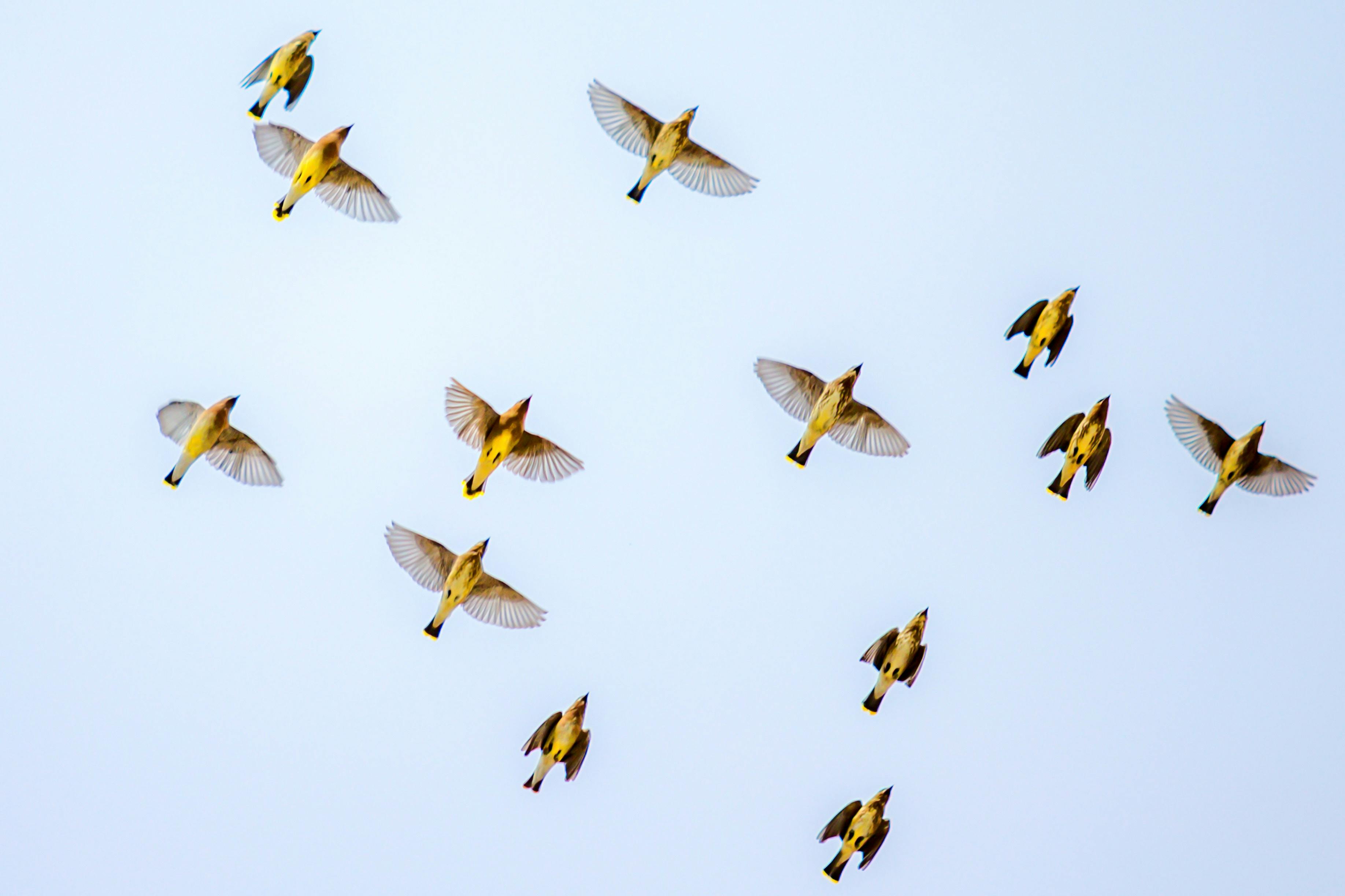 66fdc2a8de5fd1f13e549445 Andreareiman425130unsplash 0