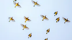 Photo: Unsplash/Andrea Reiman