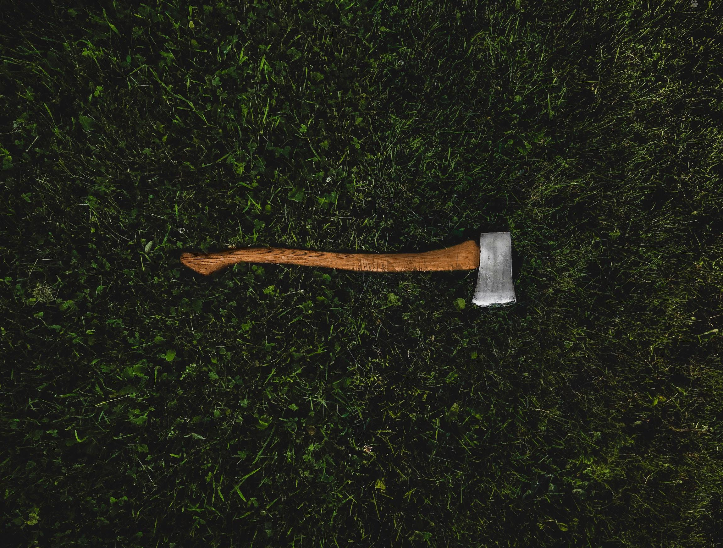 66fdc2bd3cabd96ea4a6a3b1 Tylerlastovich327680unsplash