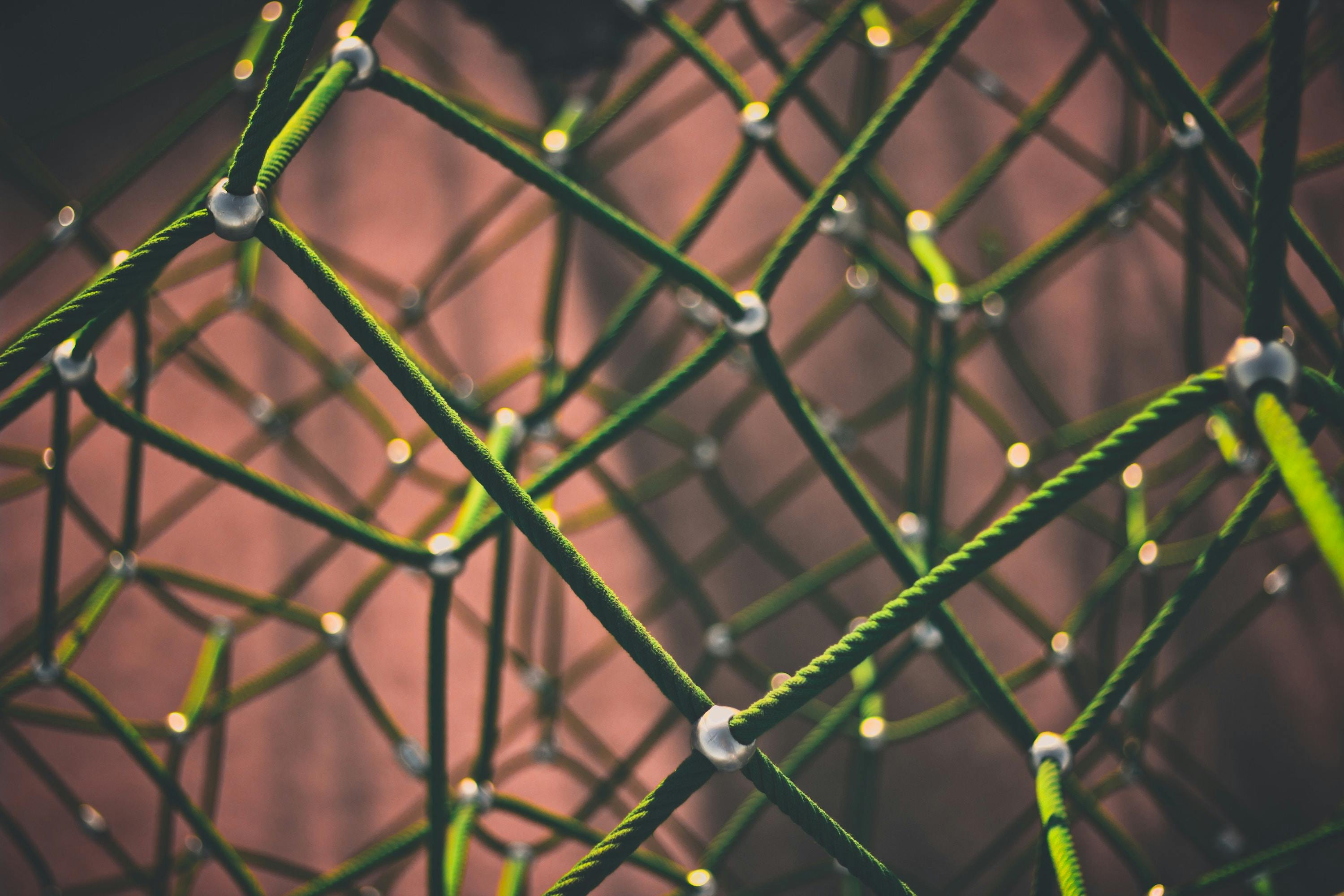 66fdc2c636c97e3dff8b698b Clintadair68588unsplash