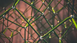 Photo: Unsplash/Clint Adair