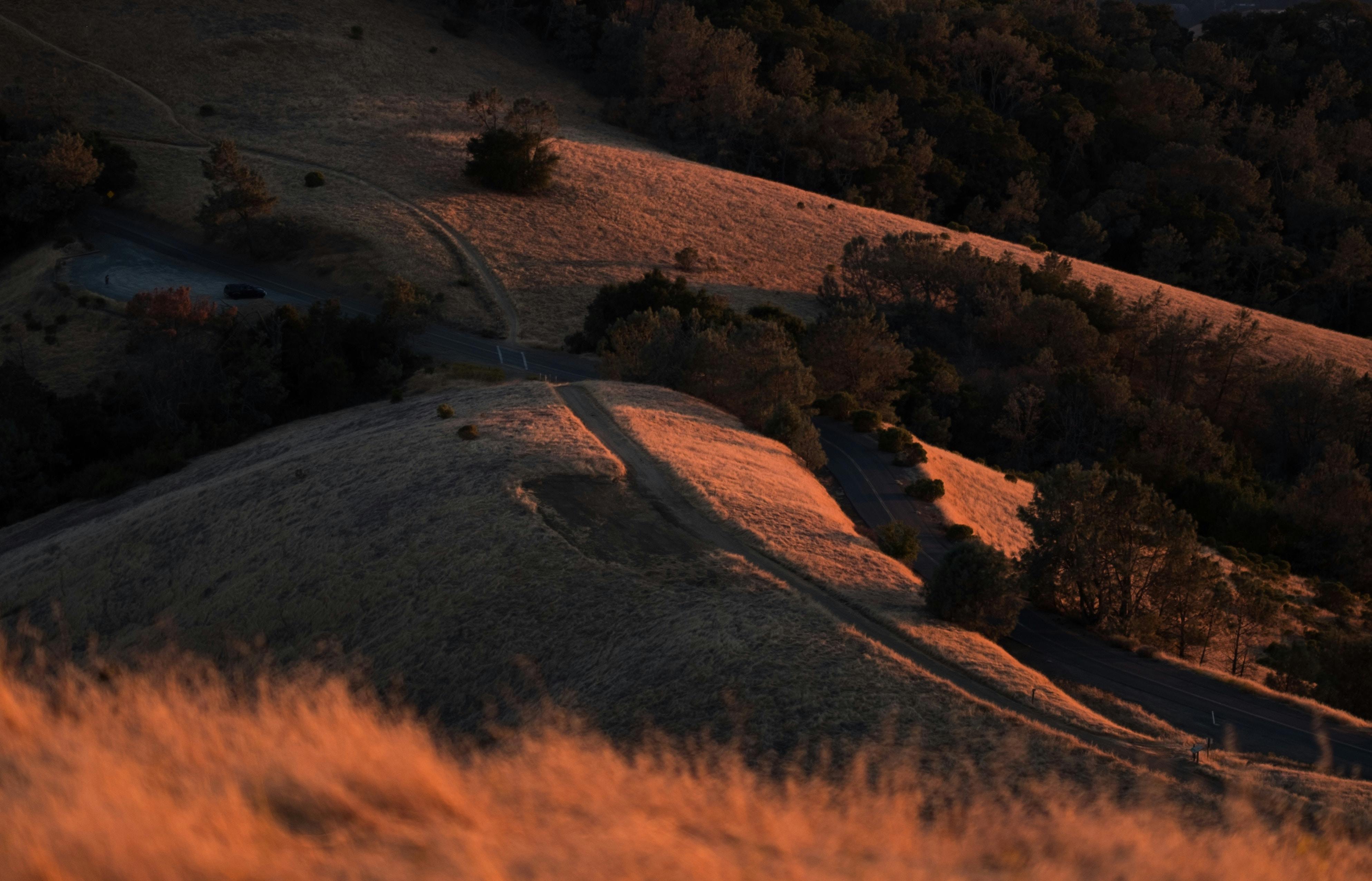 66fdc2c736c97e56bb8b698c Annagoncharova359481unsplash