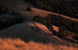 66fdc2c736c97e56bb8b698c Annagoncharova359481unsplash 66fdc2c736c97e56bb8b698c Annagoncharova359481unsplash